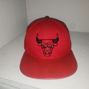 Chicago Bulls Pro Standard Hat